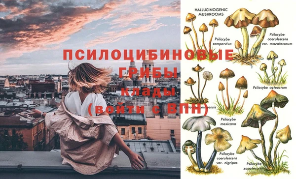 таблы Богданович