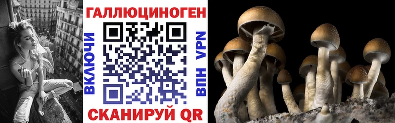 Купить закладки  Богородицк  Псилоцибиновые грибы GOLDEN TEACHER 